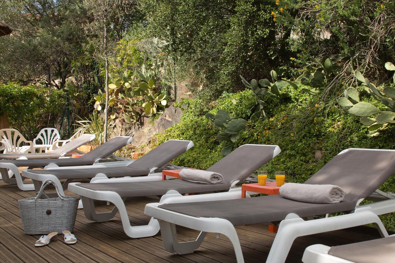 Le Madeloc Hotel & Spa Collioure Ngoại thất bức ảnh